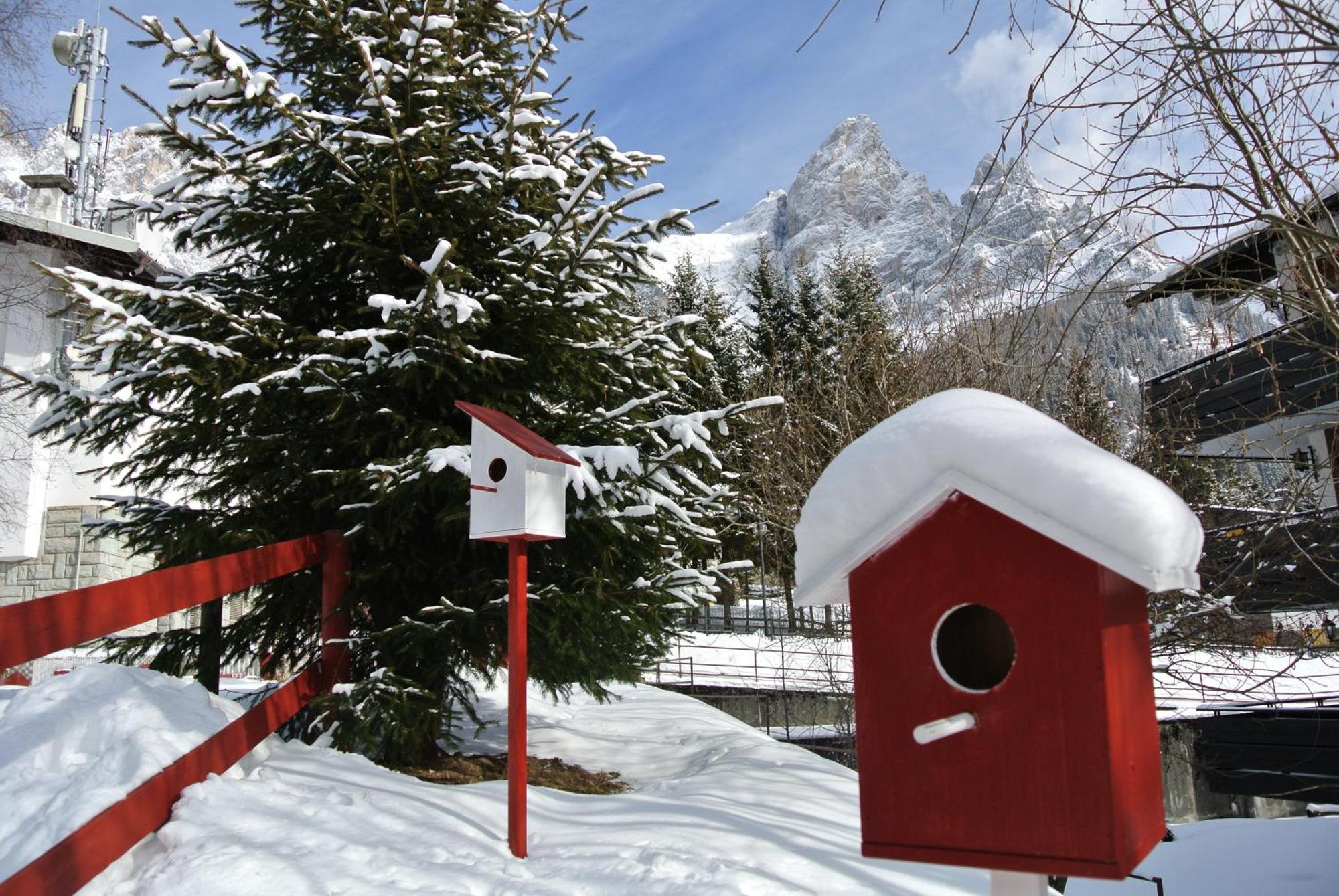 Hotel Regina San Martino Di Castrozza Exterior photo
